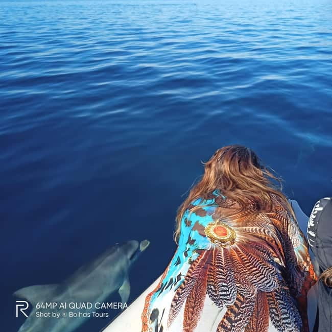 Sesimbra: Dolphin and Whales Watching with Biologist Guide - Ribeiro do Cavalo swim and snorkel: the secret-bay break you’ll remember