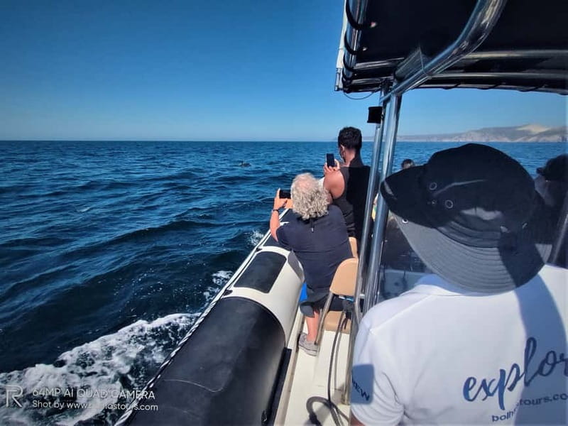 Sesimbra: Dolphin and Whales Watching with Biologist Guide - Meeting at Bolhas Tours in Sesimbra: what to expect before you go