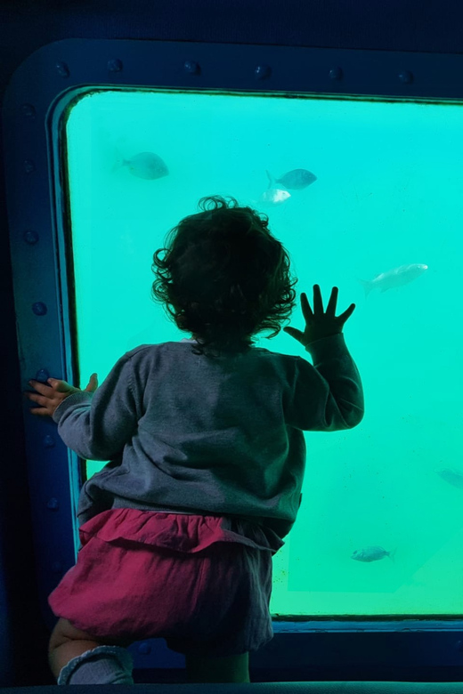 Sesimbra: Family Friendly Boat Sea Tour w/ Submarine Vision - Sesimbra’s coast from the water: why this tour works for families