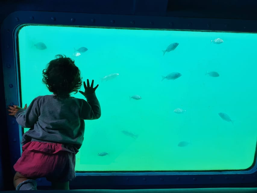 Sesimbra: Family Friendly Boat Sea Tour w/ Submarine Vision - Who should book this tour (and who might want something else)