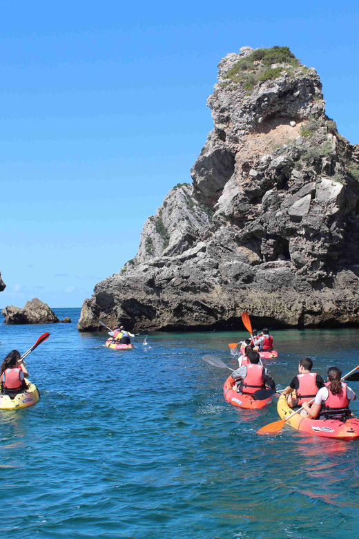 Sesimbra: Ribeiro Cavalo Beach, Caves, & Arrábida Kayak Tour - Who this Sesimbra kayak tour suits (and who should think twice)