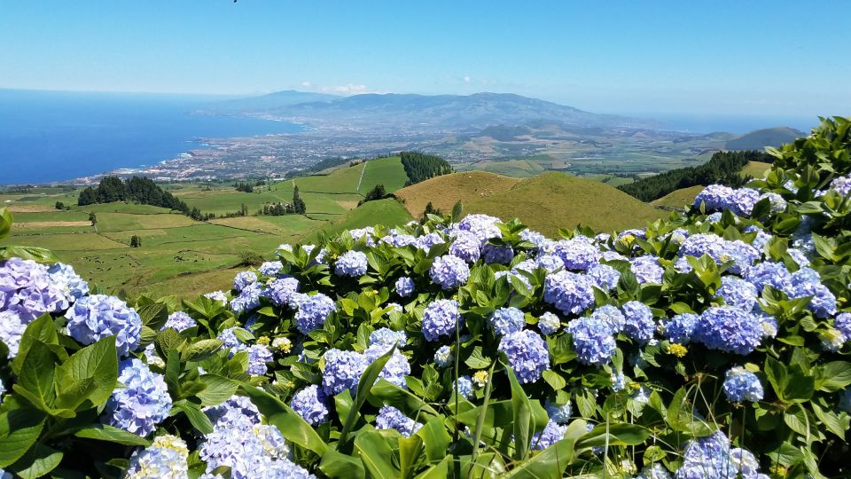 Sete Cidades - Half Day Tour - Pineapple Plantation in the Greenhouses: A Sweet Start