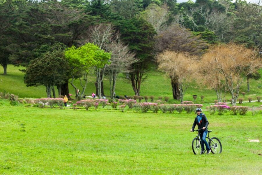 Sete Cidades: Kayaking and Biking Adventure - Kayaking Lagoa das Sete Cidades: the part that makes the day feel special