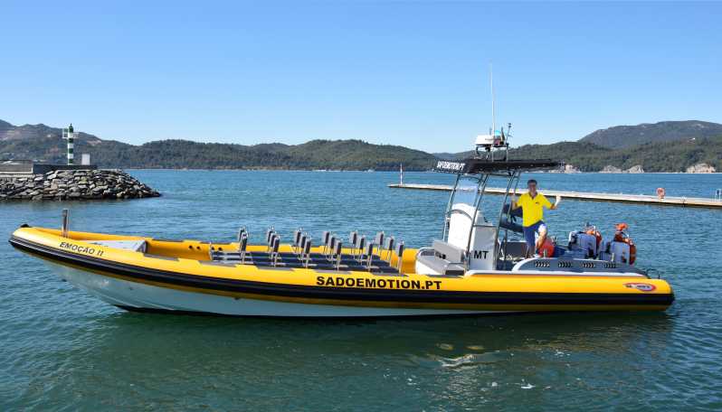 Setúbal and Tróia: Dolphin Watching and Arrábida Bays - Key Things to Know Before You Go