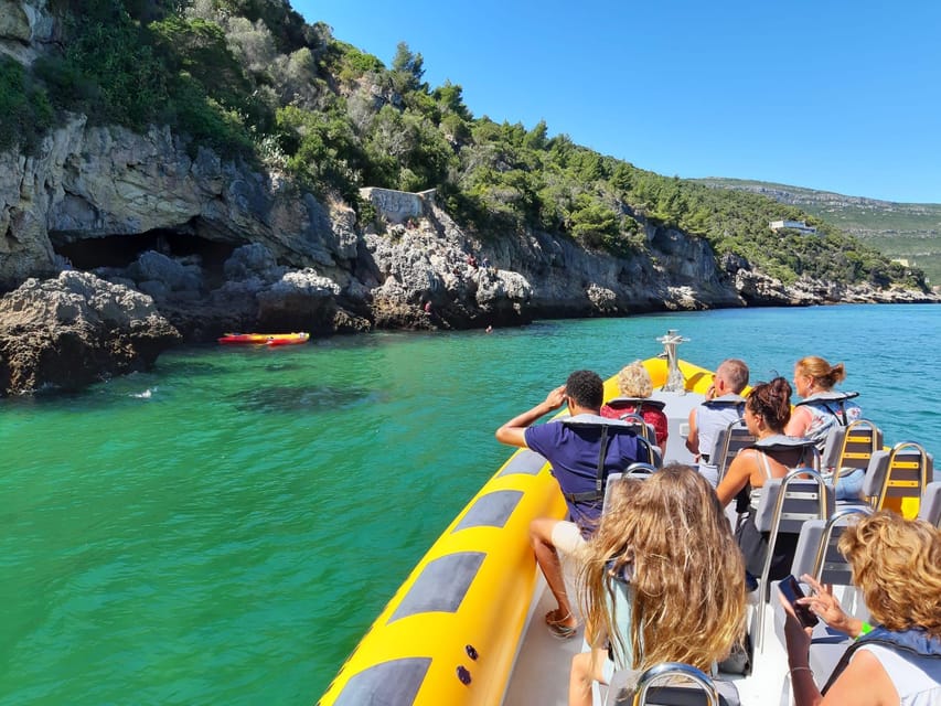 Setúbal and Tróia: Dolphin Watching and Arrábida Bays - Who This Tour Is Best For (and Who Might Want Another Option)