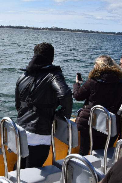 Setúbal and Tróia: Dolphin Watching and Arrábida Bays - The 2-Hour Flow: What the Time Budget Actually Means