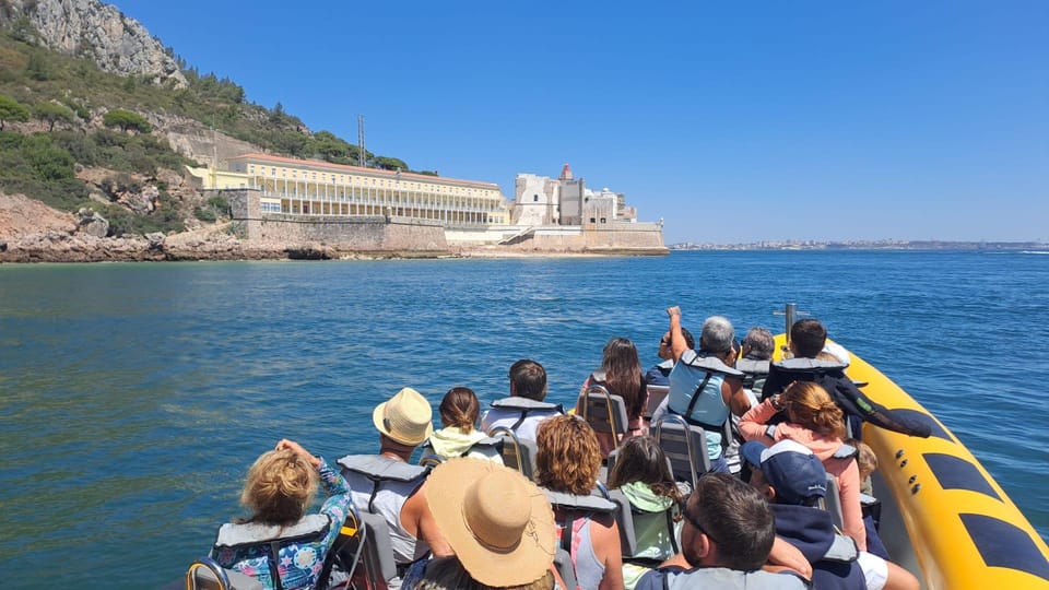 Setúbal and Tróia: Dolphin Watching and Arrábida Bays - Dolphin Viewing Rules, and What You’ll Likely See