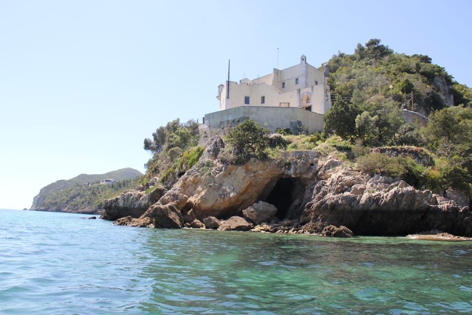 Setúbal and Tróia: Dolphin Watching and Arrábida Bays - Arrábida Bays: The Shallow-Boat Advantage on Galapos and Friends