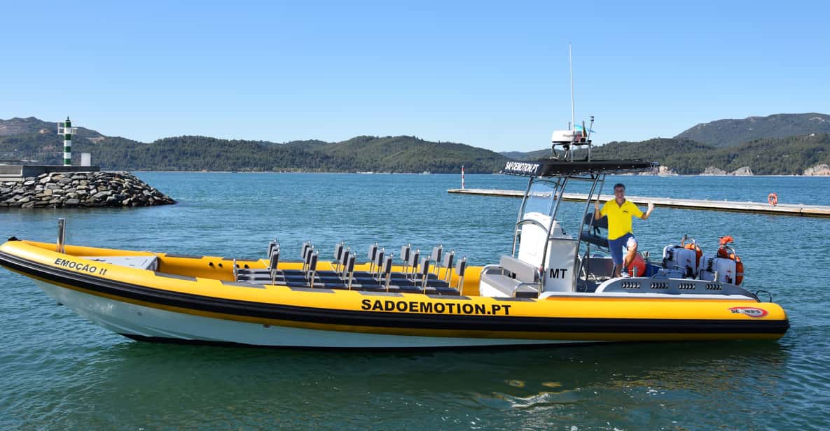 Setúbal and Tróia: Dolphin Watching and Arrábida Bays - Forts, Convent Views, and the Coastline Points You’ll Remember