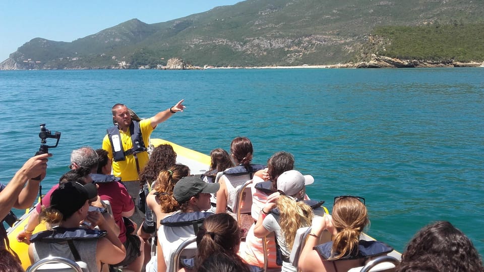 Setúbal and Tróia: Dolphin Watching and Arrábida Bays - Price and Value: Is $53 Worth It?
