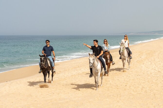 Setubal & Comporta Trip with Horseback Riding from Lisbon - Why Setúbal and Comporta feel far away from Lisbon