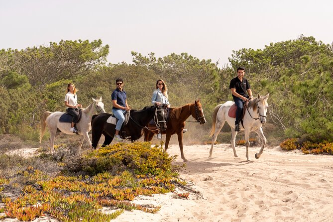 Setubal & Comporta Trip with Horseback Riding from Lisbon - Troia Peninsula ferry: the coast time you actually get