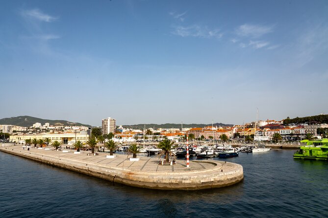 Setubal & Comporta Trip with Horseback Riding from Lisbon - Horseback riding in Comporta: what the experience really means