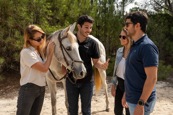 Setubal & Comporta Trip with Horseback Riding from Lisbon - Getting to Setúbal: the morning walking tour that sets the tone