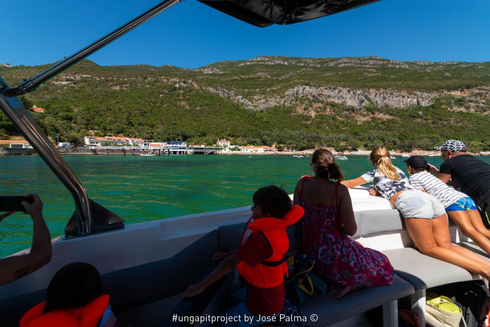 Setúbal: Dolphin Watching Boat Tour - How dolphin spotting really works during your 2-hour window