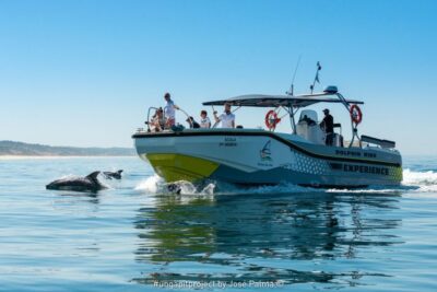 Setúbal: Dolphin-Watching Boat Tour - Arrábida and Troia Views You Get Before the Dolphin Hunt