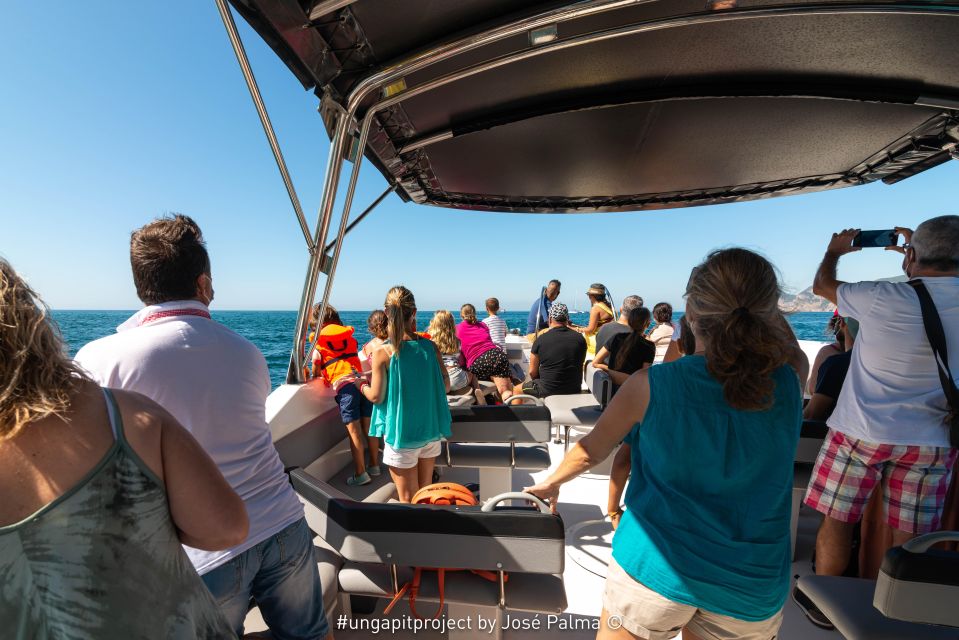 Setúbal: Dolphin Watching Boat Tour - Beaches, islands, and Arrábida Bay views from the water