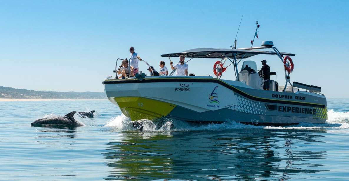 Setúbal: Dolphin Watching Boat Tour - The guides and crew: what to expect from the narration