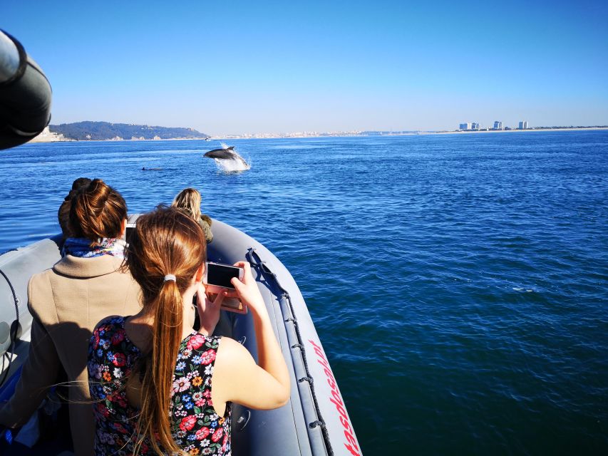 Setúbal: Dolphin Watching Boat Tour - Price and value: is $53 worth it for two hours on the water?