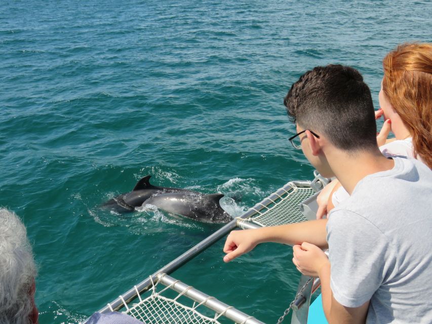 Setúbal: Dolphin Watching Tour - Why this Setúbal dolphin tour feels more real than a typical boat ride