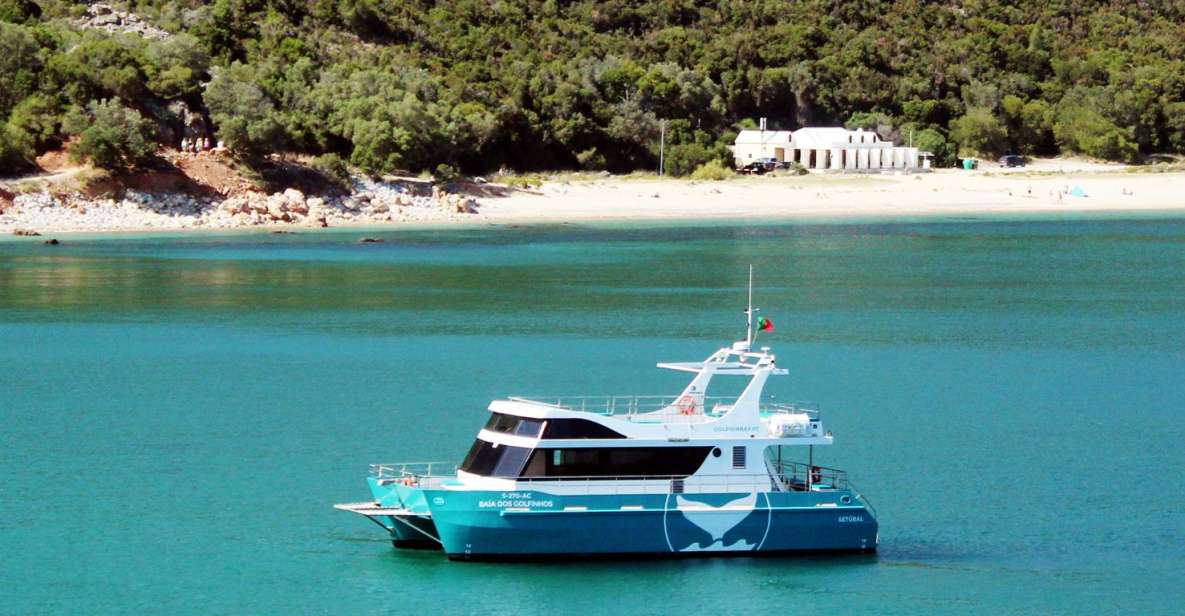 Setúbal: Dolphin Watching Tour - Welcome drink + bilingual dolphin brief: how the first minutes set up the whole experience