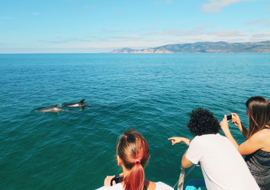 Setúbal: Dolphin Watching Tour - The underwater rooms: the coolest part when dolphins come (or when they don’t)