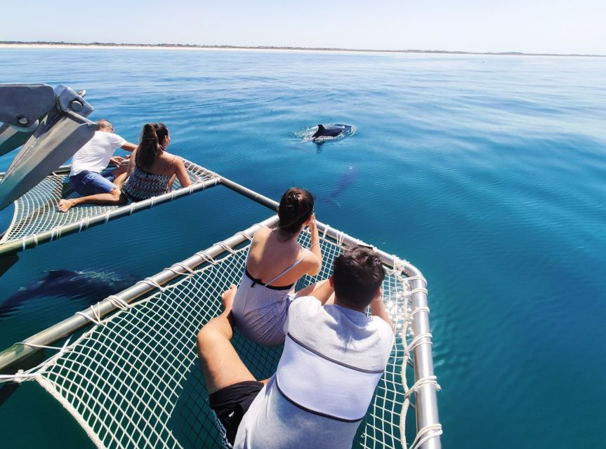 Setúbal: Dolphin Watching Tour - Cruising past Arrábida: you get more than one view of the coast