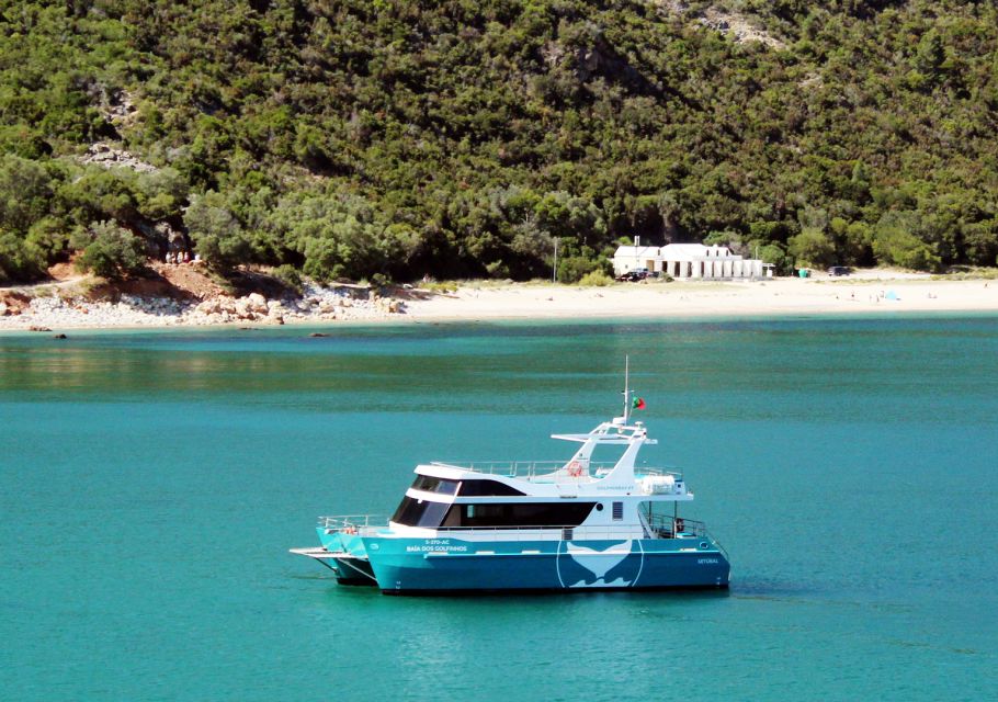 Setúbal: Dolphin Watching Tour - Getting to the catamaran: the Yellow clock tower meeting point trick