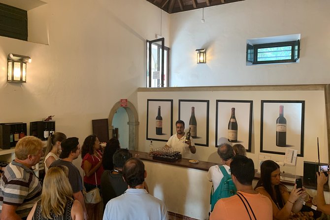 Setúbal Wine Tour with Visit and Tasting at 2 Wineries - The Tastings: How to Make Sense of Up to Five Wines
