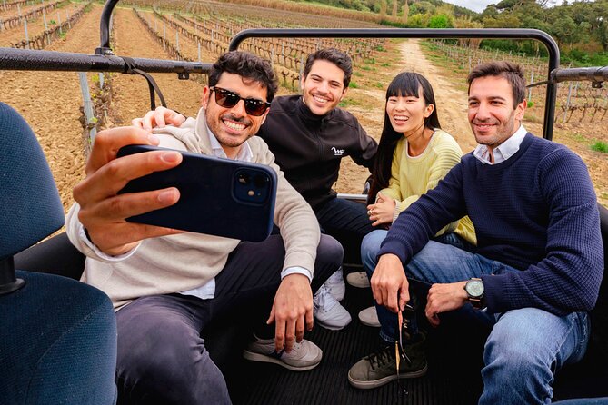 Setúbal: Winery & Fish Market Tasting Tour from Lisbon - Crossing Ponte 25 de Abril and the Van Ride Rhythm