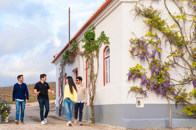 Setúbal: Winery & Fish Market Tasting Tour from Lisbon - Small Group Size, English Guides, and How to Get More From the Day