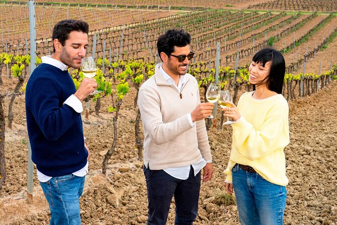 Setúbal: Winery & Fish Market Tasting Tour from Lisbon - Lisbon to Palácio da Bacalhôa: The Wine Stop That Kicks Off the Tasting