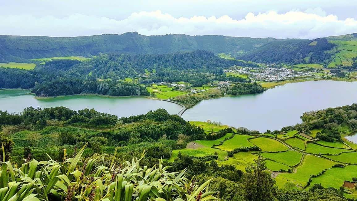 Seven Citys Tour: Sete Cidades Crater Lake Shore Excursion - Pineapples at St. Anthony: the warm-up stop before crater views