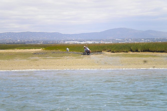 Short boat trip of the Algarve's Ria Formosa lagoon from Faro: 1 hour - Faro Old Town Views: The payoff at the end of the ride