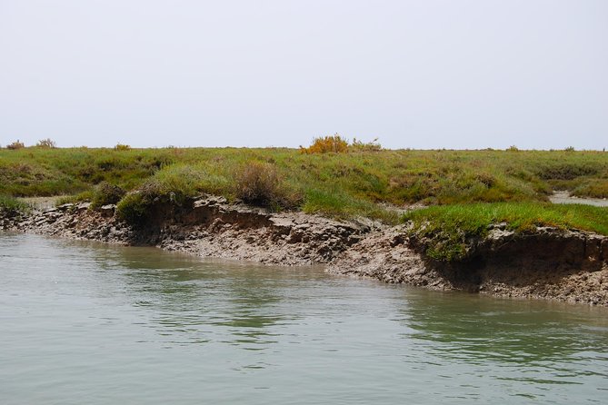 Short boat trip of the Algarve's Ria Formosa lagoon from Faro: 1 hour - Small Group Private Catamaran: Comfort, pace, and who this suits