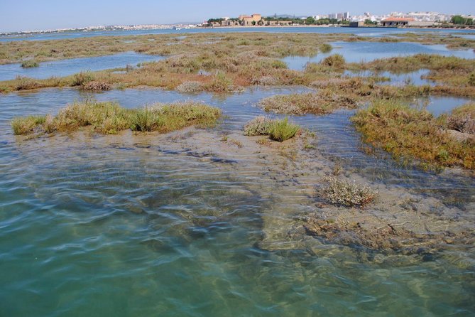Short boat trip of the Algarve's Ria Formosa lagoon from Faro: 1 hour - Timing and Weather: When the lagoon trip changes your plan