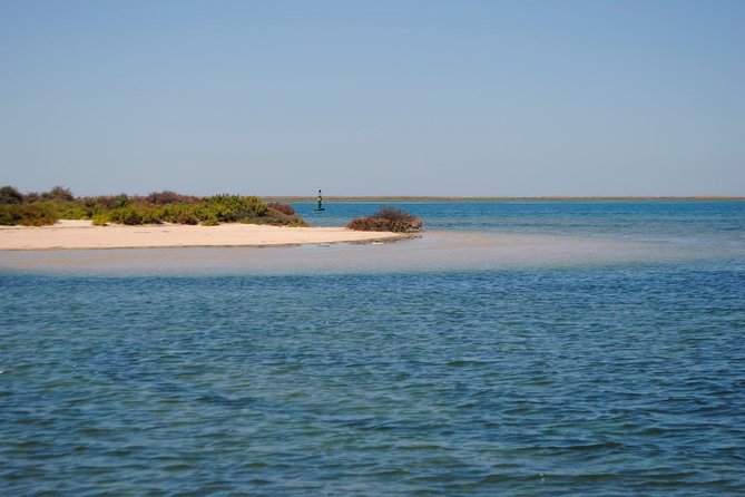 Short boat trip of the Algarve's Ria Formosa lagoon from Faro: 1 hour - Who Should Book This 1-hour Faro Lagoon Cruise