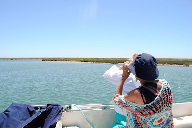 Short boat trip of the Algarve's Ria Formosa lagoon from Faro: 1 hour - What You Get in One Hour: The feel of a Ria Formosa lagoon cruise