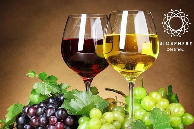 Signature Wine Tastings, Skywalk, Nature 4x4 Open Roof Expedition - Cabo Girão Skywalk: Europe’s highest cliff view (and the €3 fee)