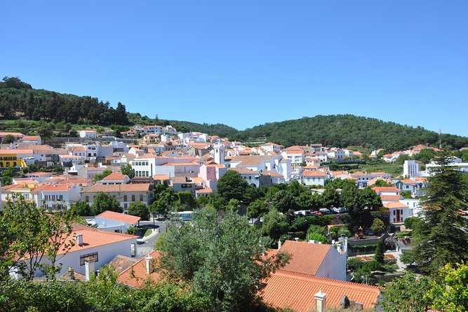 Silves and Monchique Full Day Bus Tour - Fóia Mountain: The Tallest Algarvian View Stop (About 40 Minutes)
