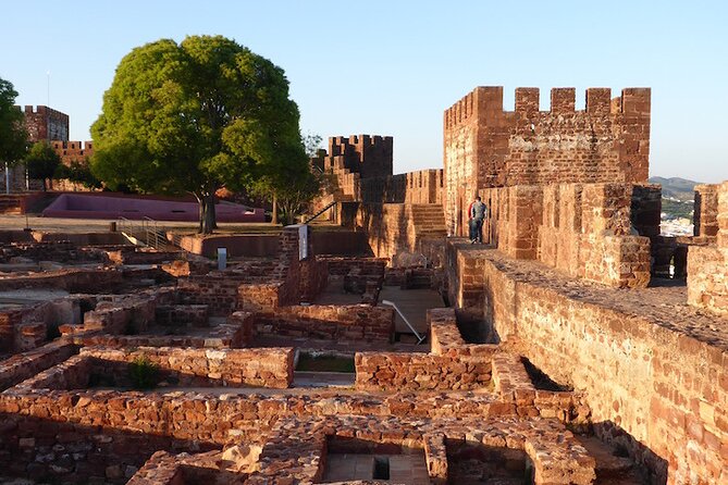Silves and Monchique Wine Taste Premium - Private> VTours Algarve - Monte Foia: the Algarve’s tallest point, without the long grind