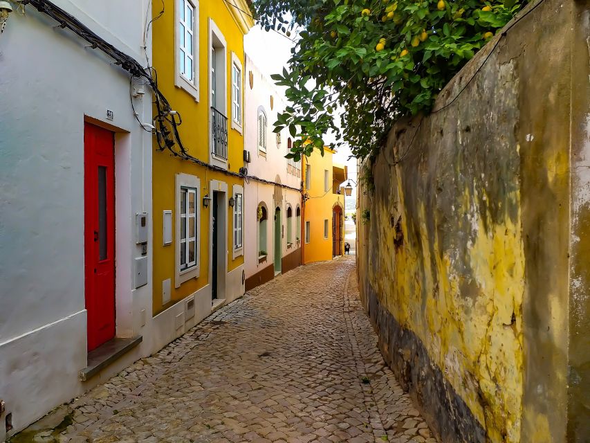 Silves, Caldas and Monchique Wine Tasting: Full Day Tour - Key highlights
