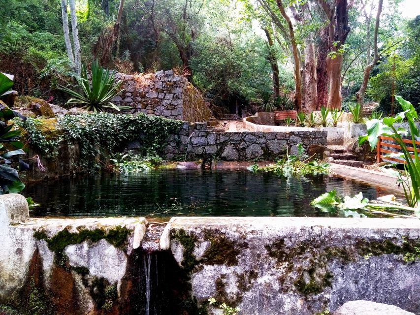 Silves, Caldas and Monchique Wine Tasting: Full Day Tour - Fóia, Algarve’s Highest Point: The 360º Reward