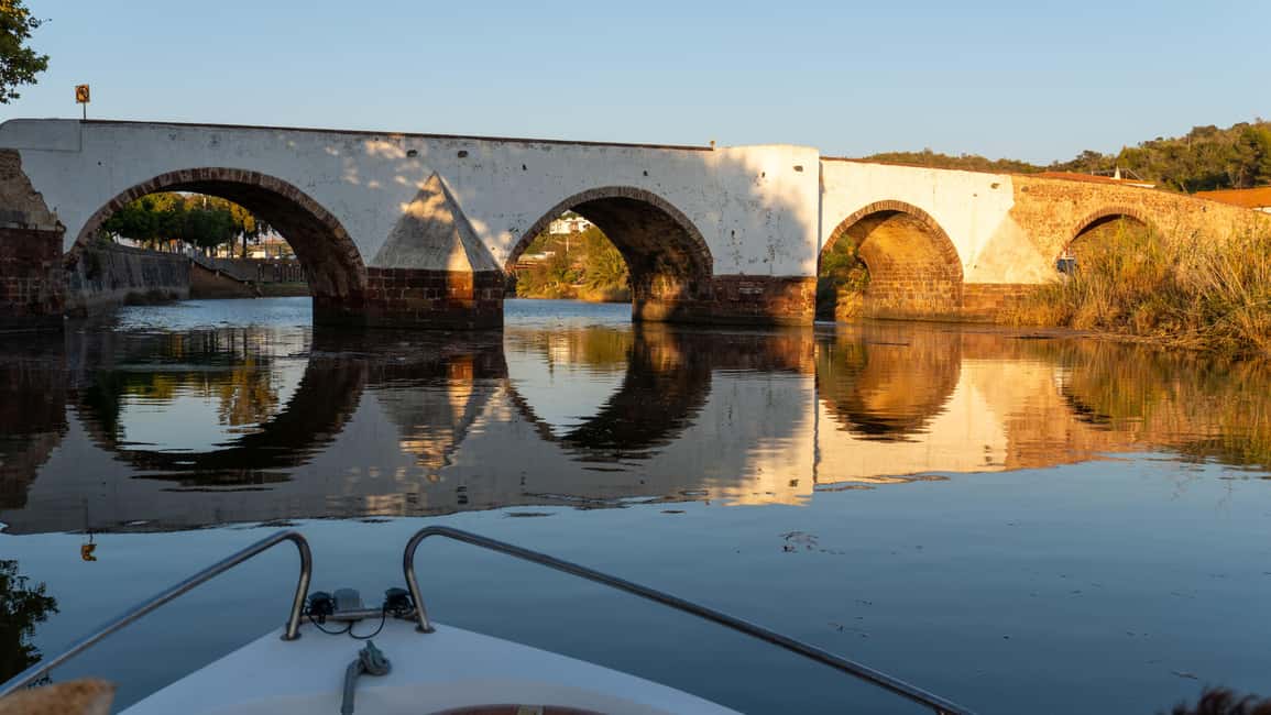 Silves History - Nature Boat Tour - free drink and Port wine - Nature spotting on the Arade River: birds are the star