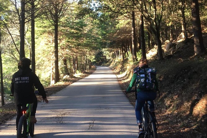 Sintra & Cascais e-bike Guided Tour - Colares and Penedo: where the ride turns greener