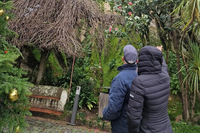 Sintra full day Private Tour - Price and Value: Is $239.65 Worth It?