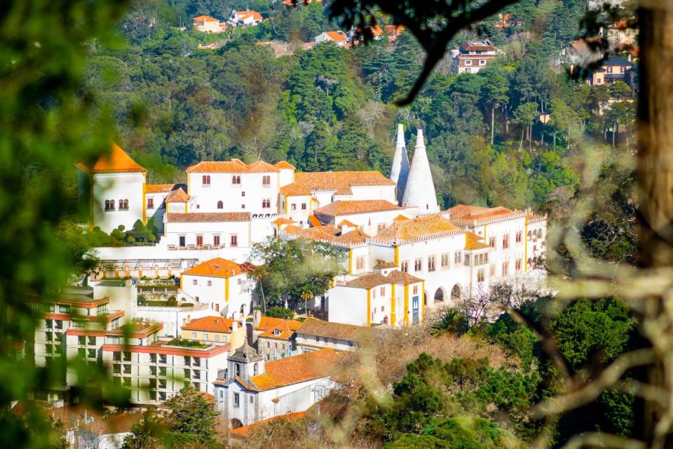 Sintra: Full-Day Private Tour & Pena Palace Entry Option - Monserrate Palace: the eclectic cousin of the main palaces