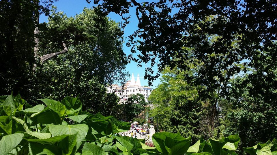 Sintra: Full-Day Tour from Lisbon with Wine Tasting - A Private Day Off the Lisbon Clock: Sintra, Cliffs, and Cascais
