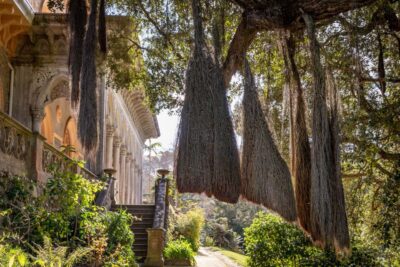Sintra: Monserrate Palace & Park Ticket - Fast-Track Entry and the Zoomguide App That Actually Helps