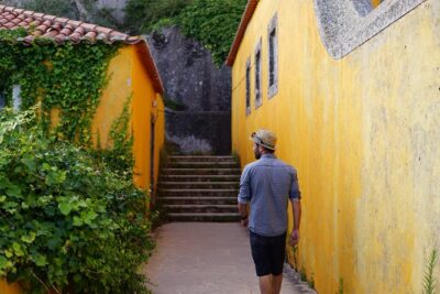Sintra/Pena, Regaleira & Monserrate - Monserrate Park and Palace: Exotic Gardens Plus 19th-Century Flair